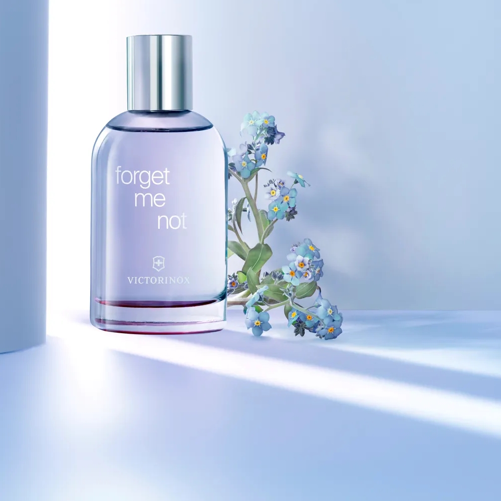 Forget Me Not image