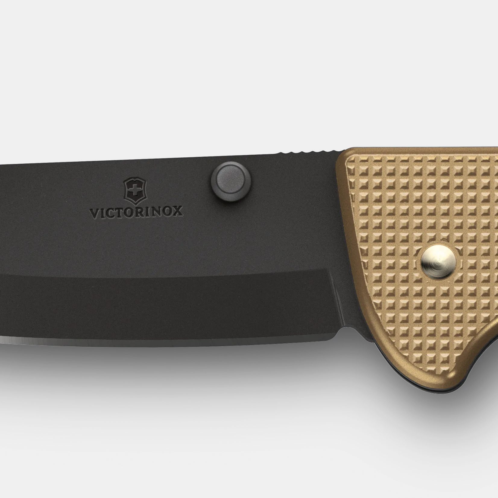 Victorinox Evoke BS Alox in beige - 0.9415.DS249