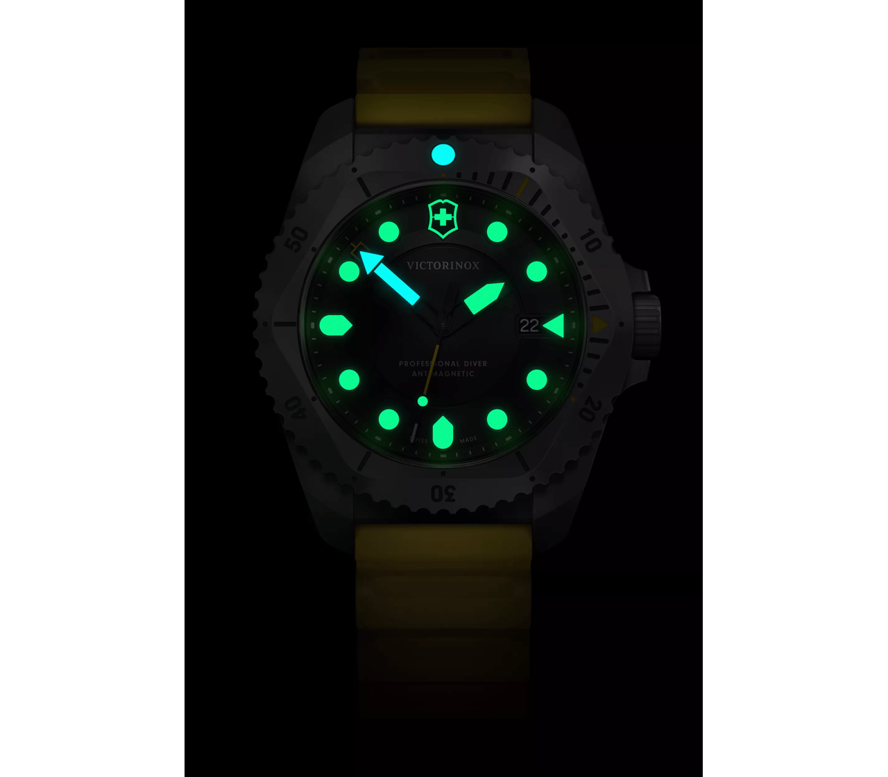 Dive Pro Quartz - null