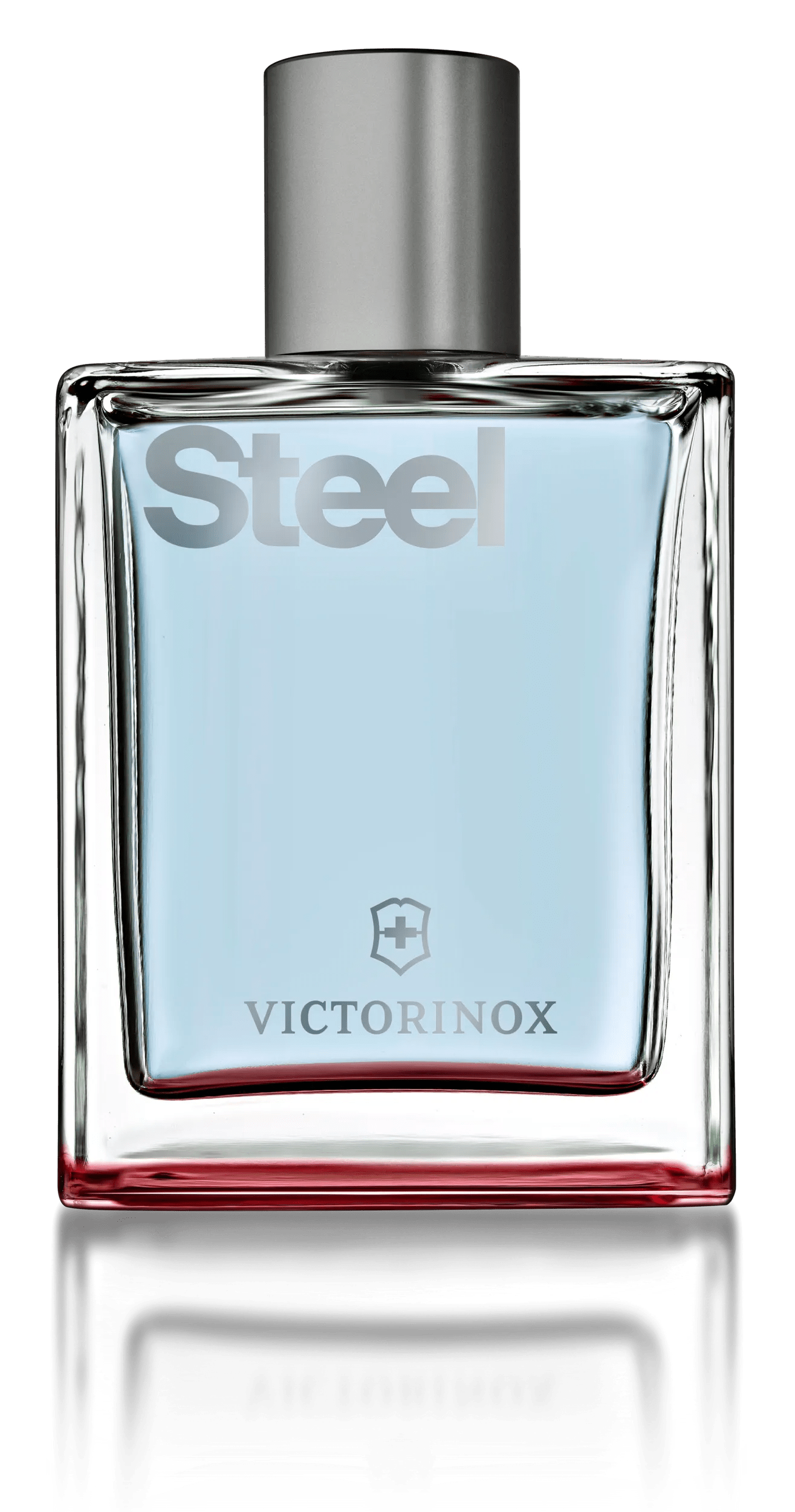 VICTORINOX ビクトリノックス・スイスアーミー ブラックスティール フォーヒム EDT・SP 100ml 香水 フレグランス BLACK STEEL FOR HIM 新品 未使用