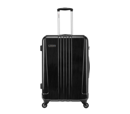 Wheeled Case