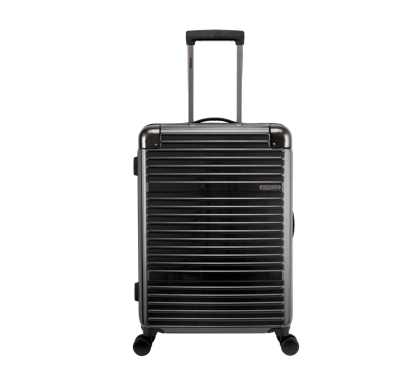 Wheeled Case 