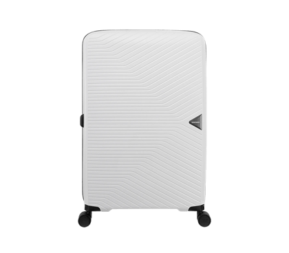 Wheeled Case