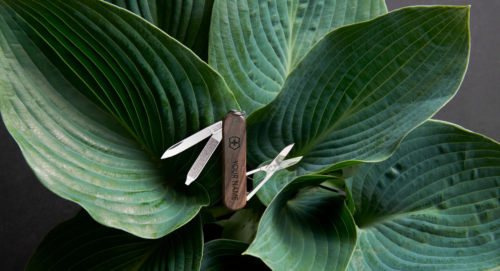 Personalisierbare Wood Taschenmesser