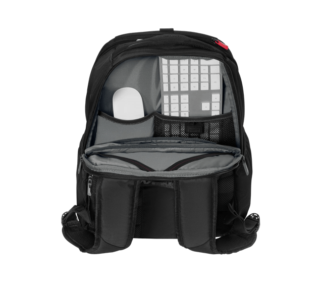 XE Professional - 612739