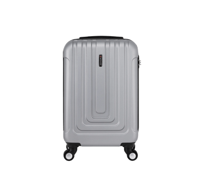 Wheeled Case