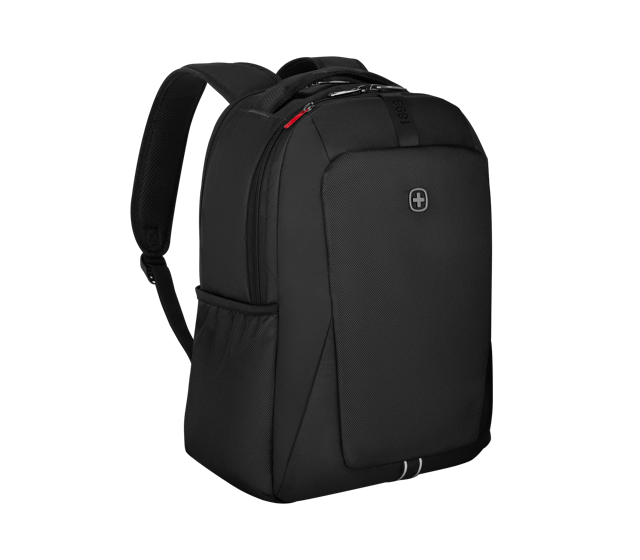 XE Professional - 612739