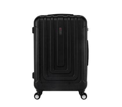 Wheeled Case