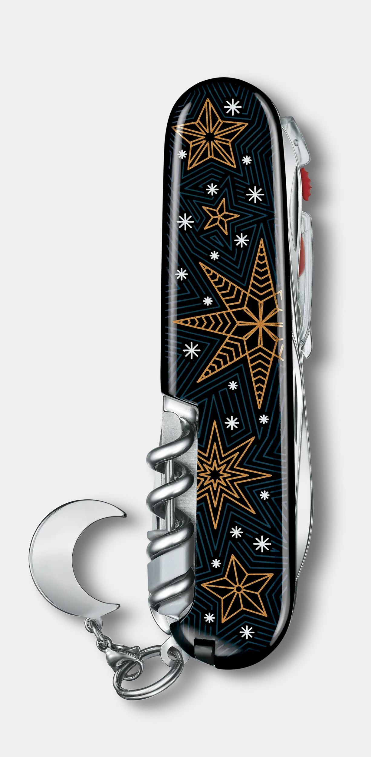 Victorinox winter 2021 online