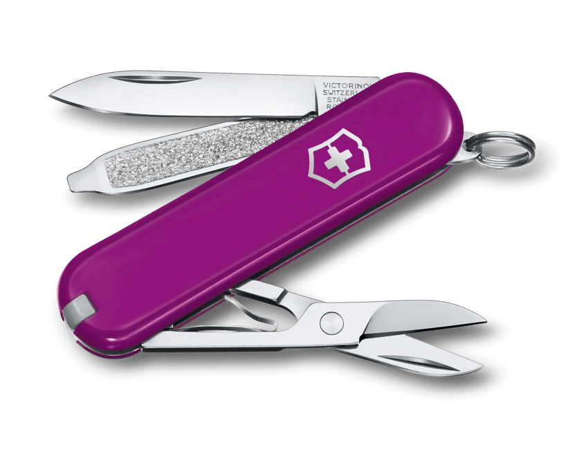 Victorinox Classic SD Classic Colors in Tasty Grape 0.6223.52G