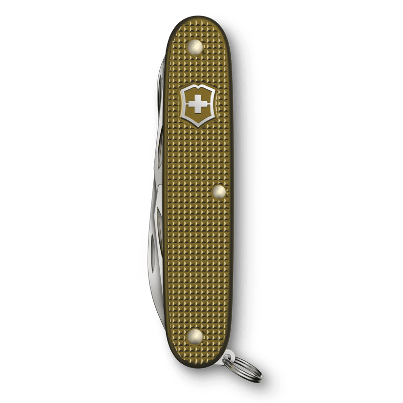 Victorinox Pioneer X Alox Limited Edition 2024 in Terra Brown 