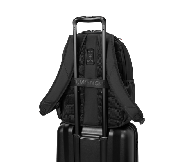 XE Professional - 612739