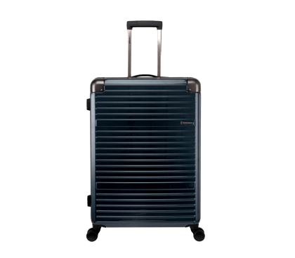 Wheeled Case