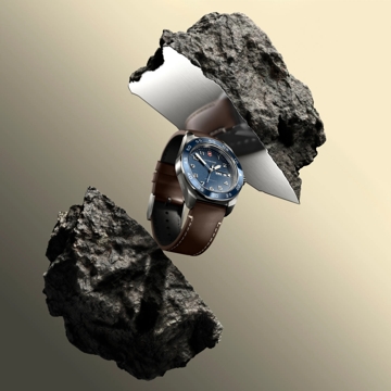 Swiss Army watches