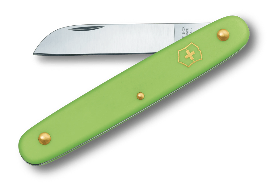 Victorinox Floral Knife in light green 3.9050.47B1