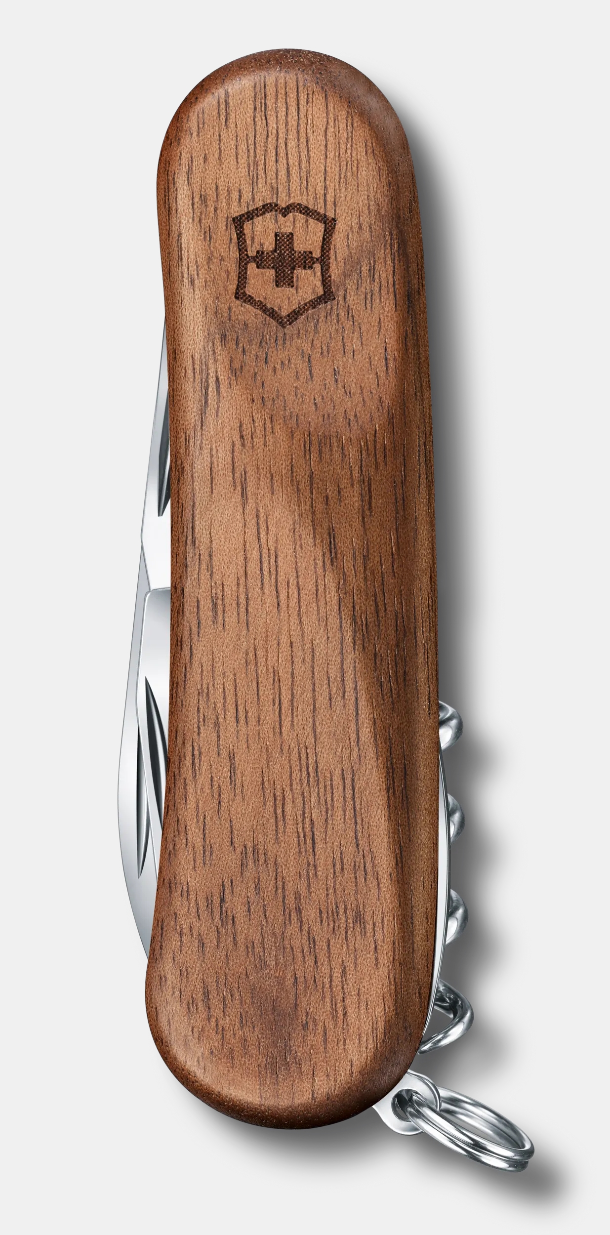Evolution 10 Wood - 2.3801.63