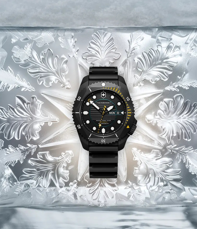 Dive Pro für Outdoor-Begeisterte