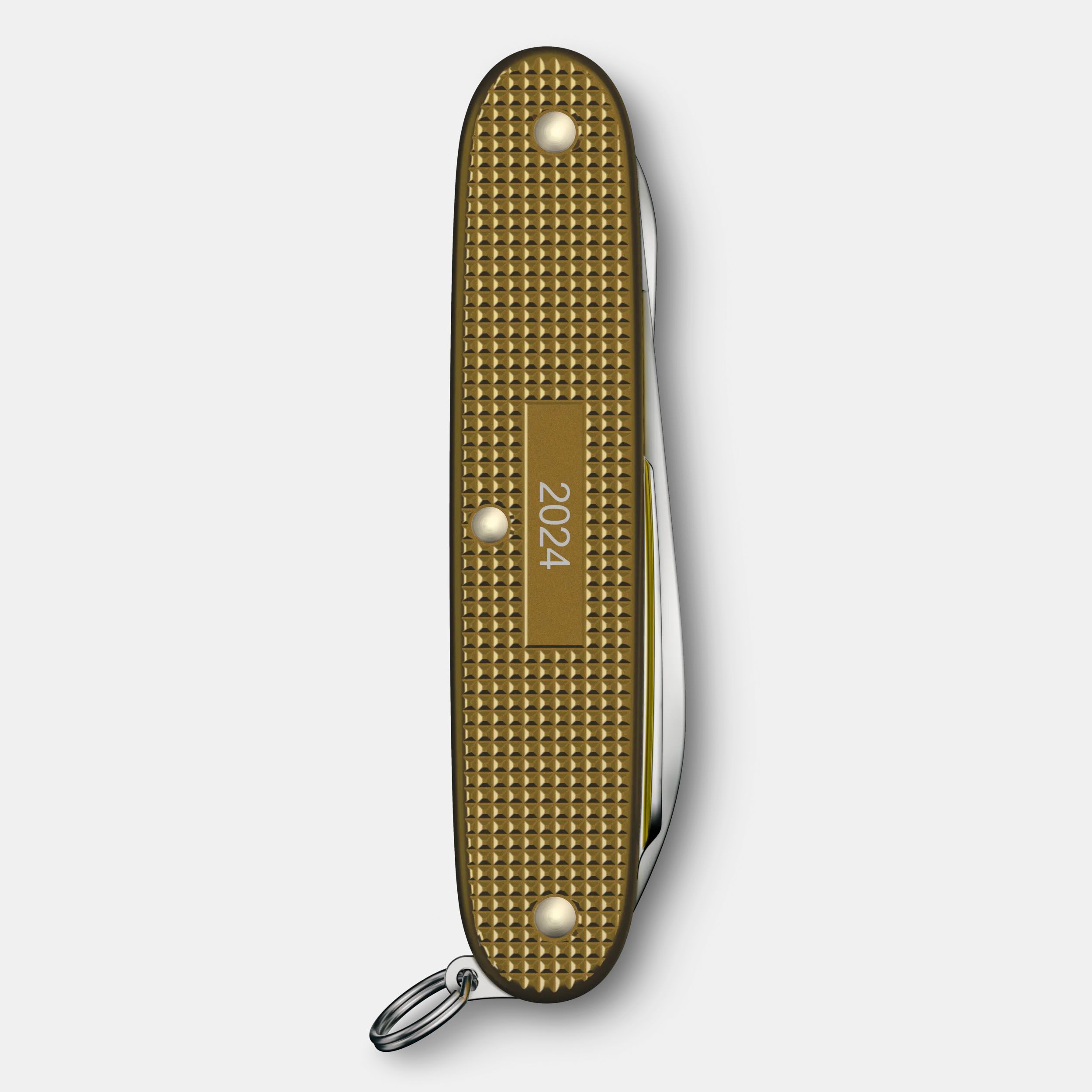Victorinox Pioneer X Alox Limited Edition 2024 in Terra Brown 0.8231.L24