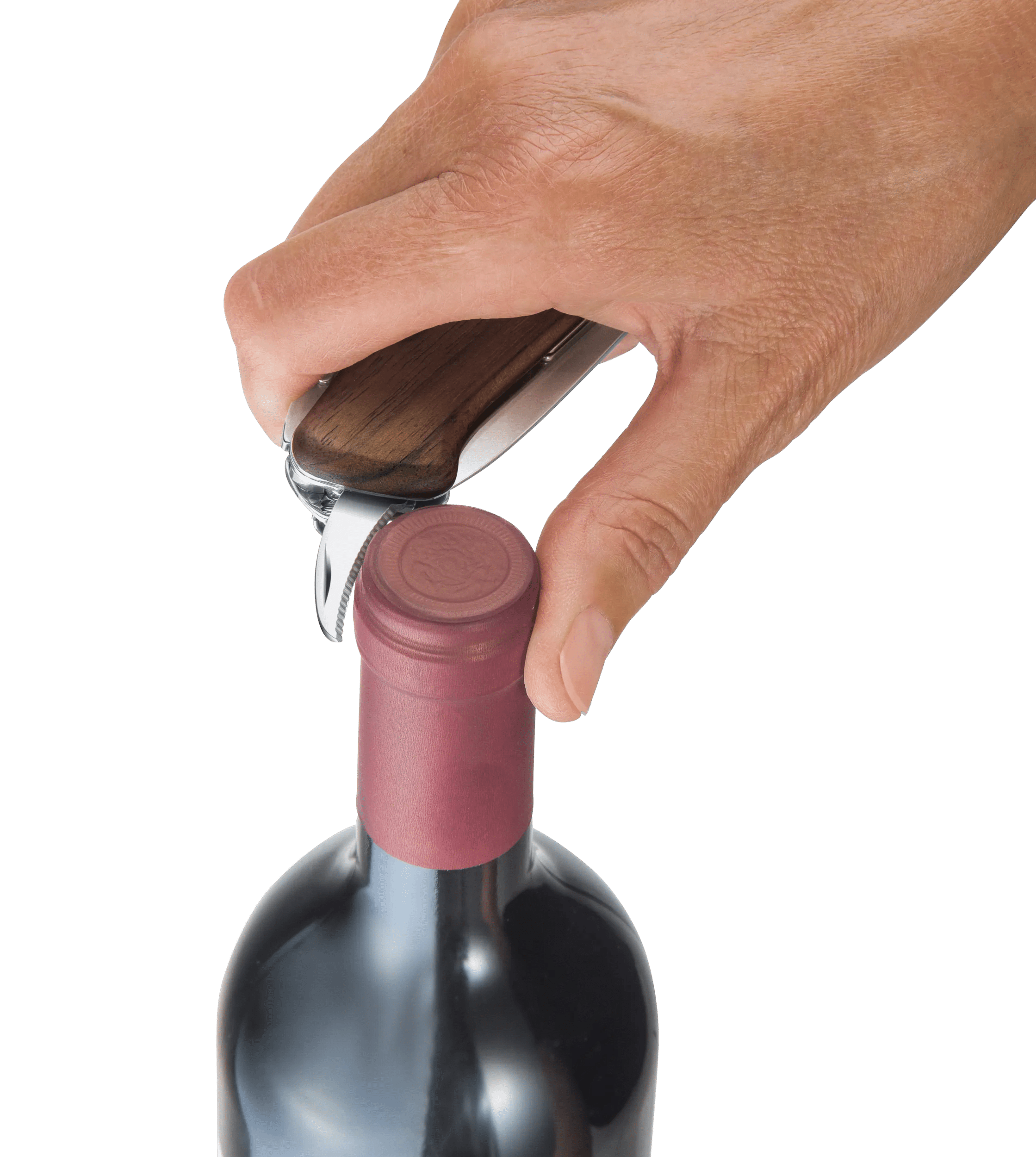 Wine Master Wood