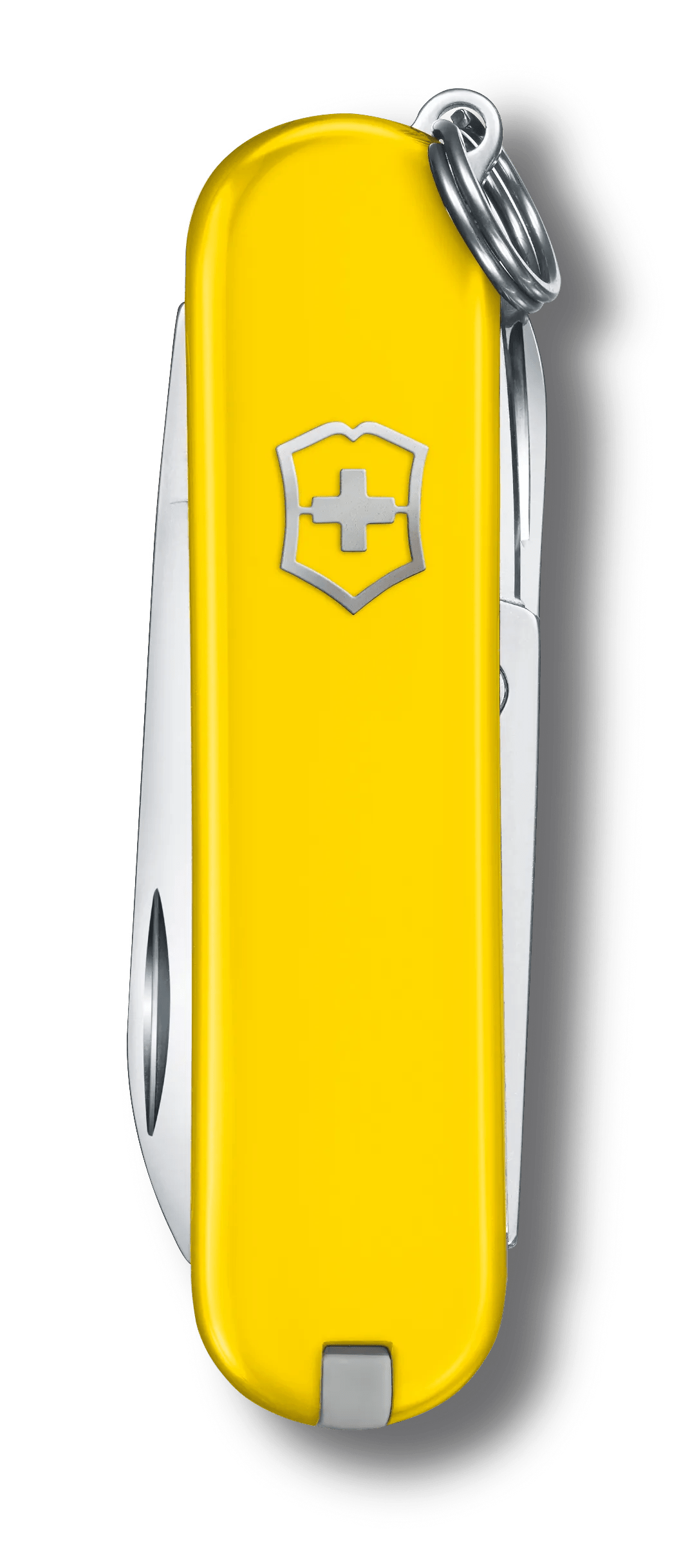 Victorinox Classic Pocket Knife in Bold, Vivid Colors 0.6221.242G