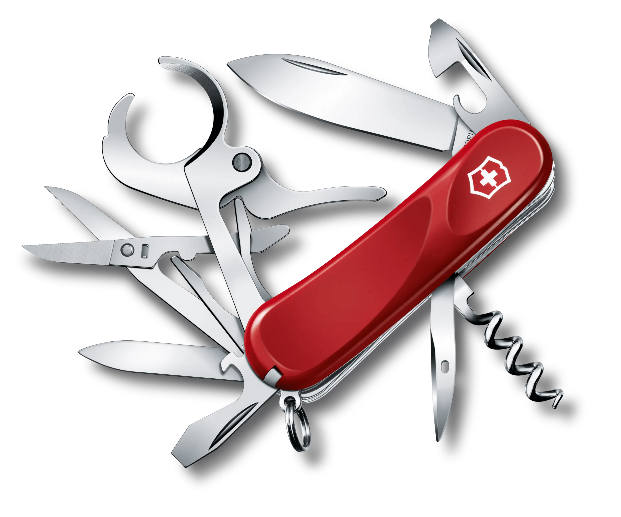 正規通販】 Victorinox シガーカッターAL 登山用品 - inksys.org