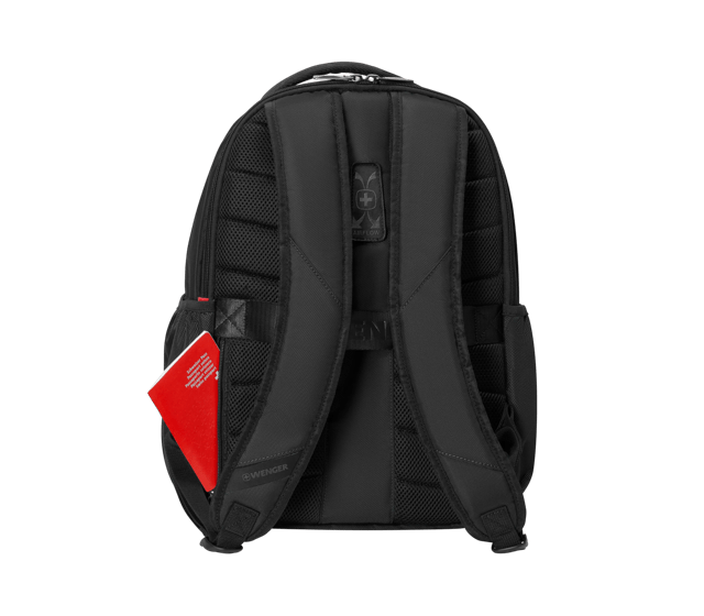 XE Professional - 612739