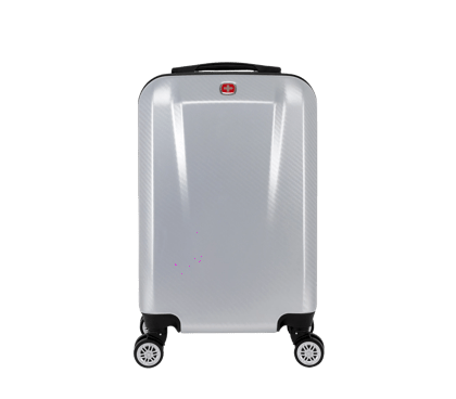 Wheeled Case