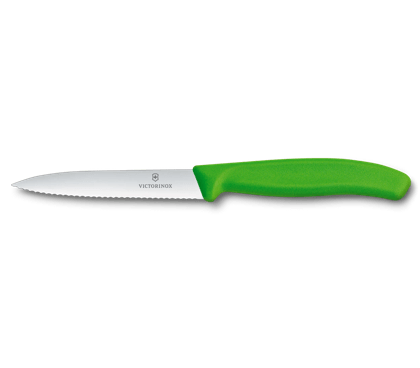 Swiss Classic Paring Knife