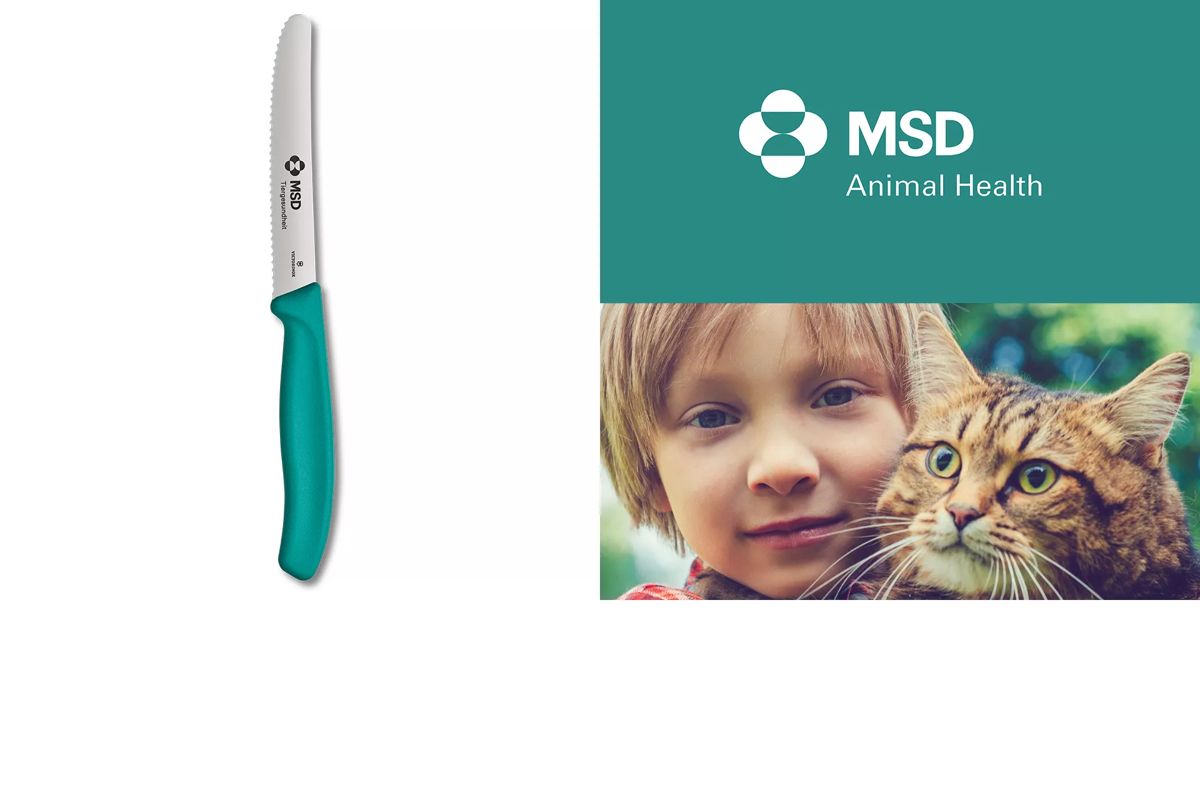 CASE STUDY «MSD TIERGESUNDHEIT (SCHWEIZ)»