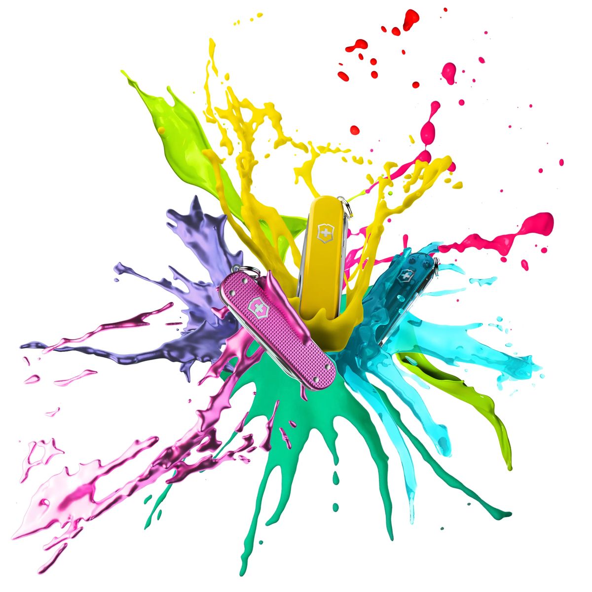 Agrega color a tu vida