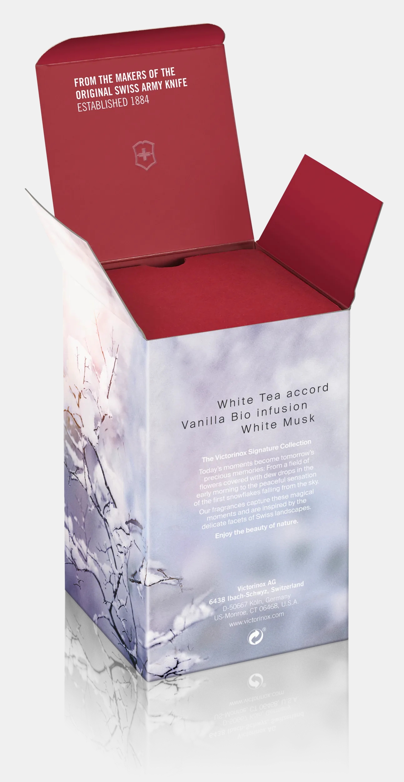 First Snow - V0000898