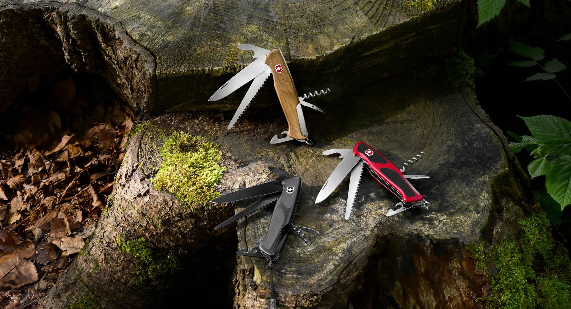 Eddie bauer swiss army knife on sale