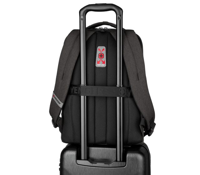 MX Professional - 611641