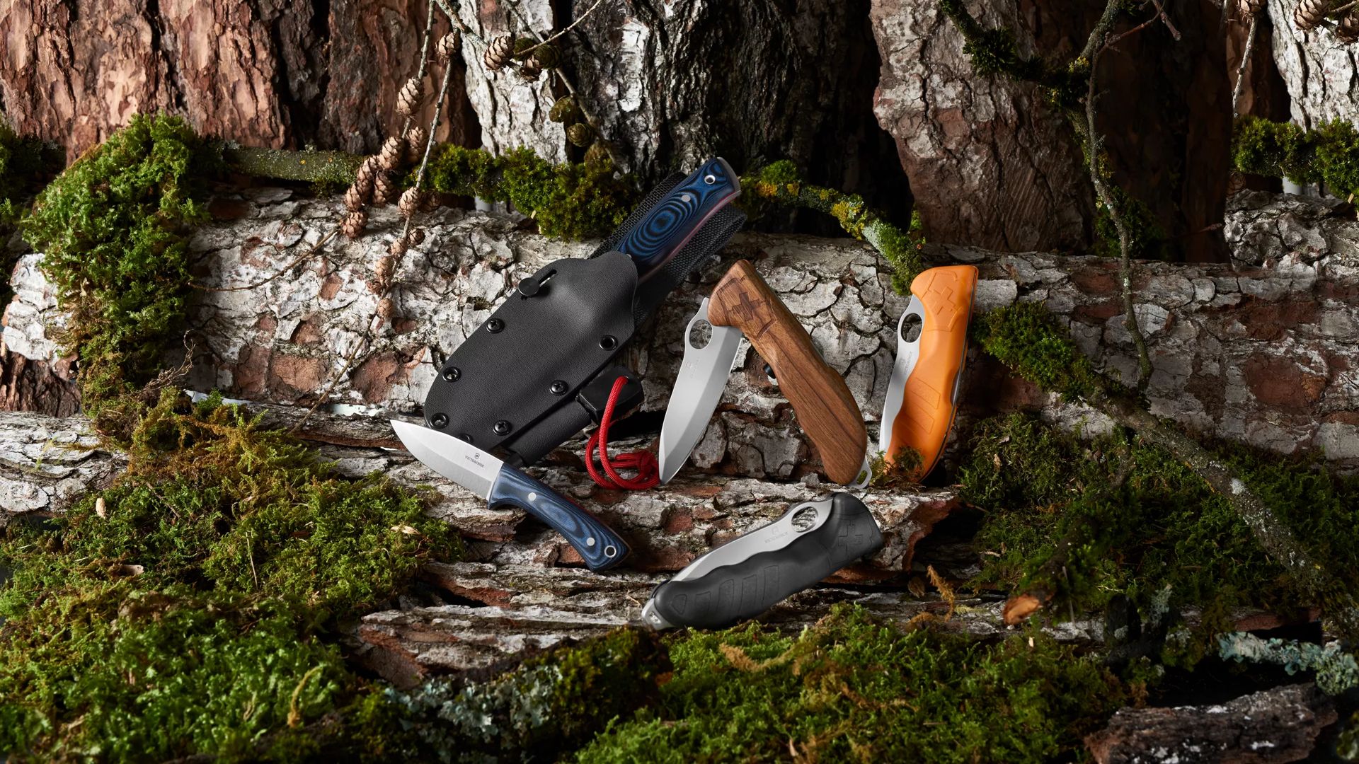  Survival Steel - Navaja de bolsillo plegable de acero  inoxidable con clip, cuchillo de caza de supervivencia al aire libre de  7.75 pulgadas : Herramientas y Mejoras del Hogar