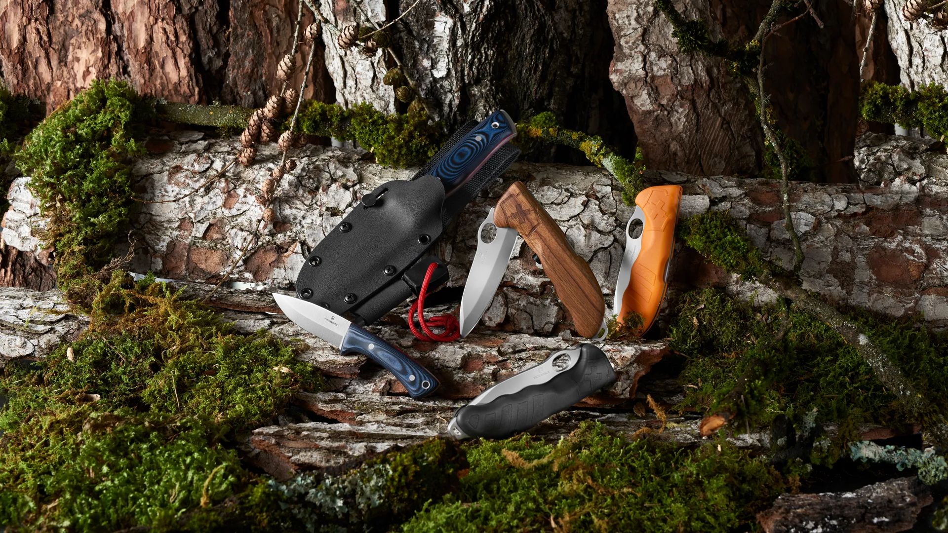 Victorinox Swiss Army Knives- Dwight Outdoor – Dwights Outdoors